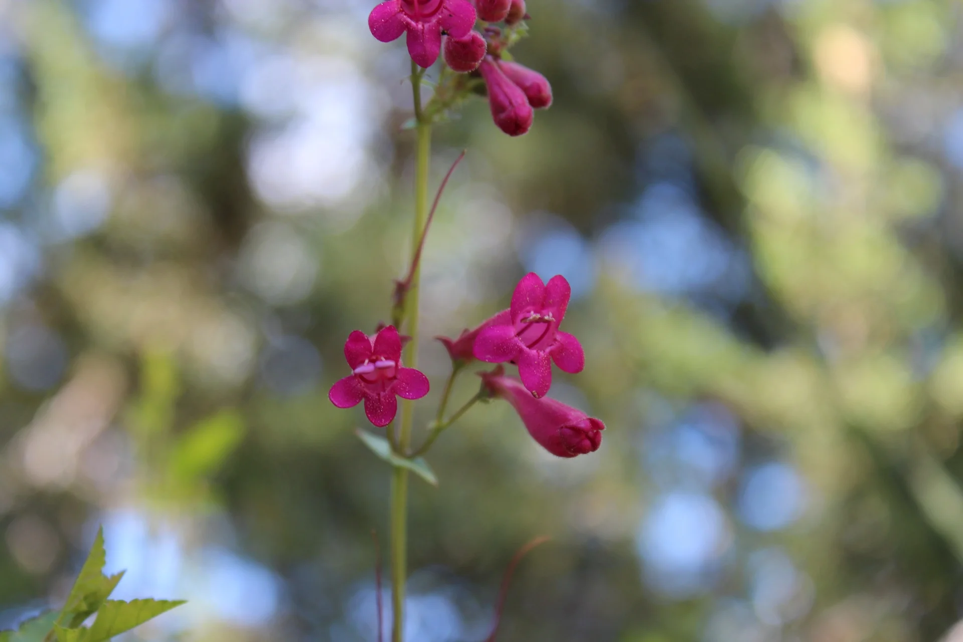 IMG_5670-Small.webp