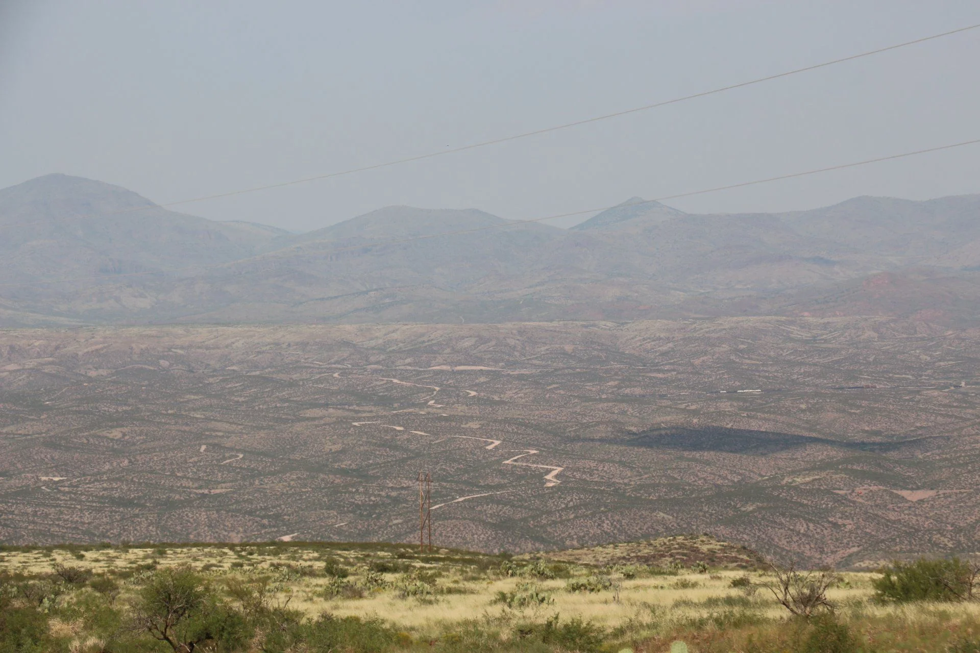 IMG_5688[1].webp
