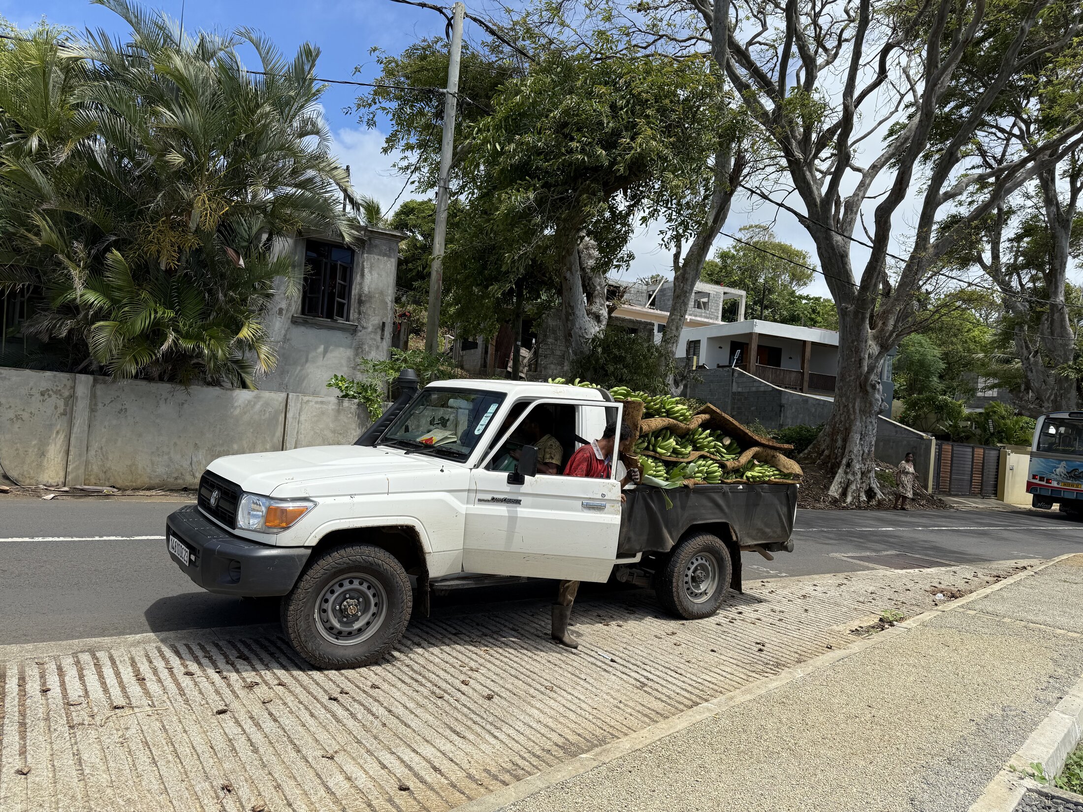 IMG_5995.jpeg