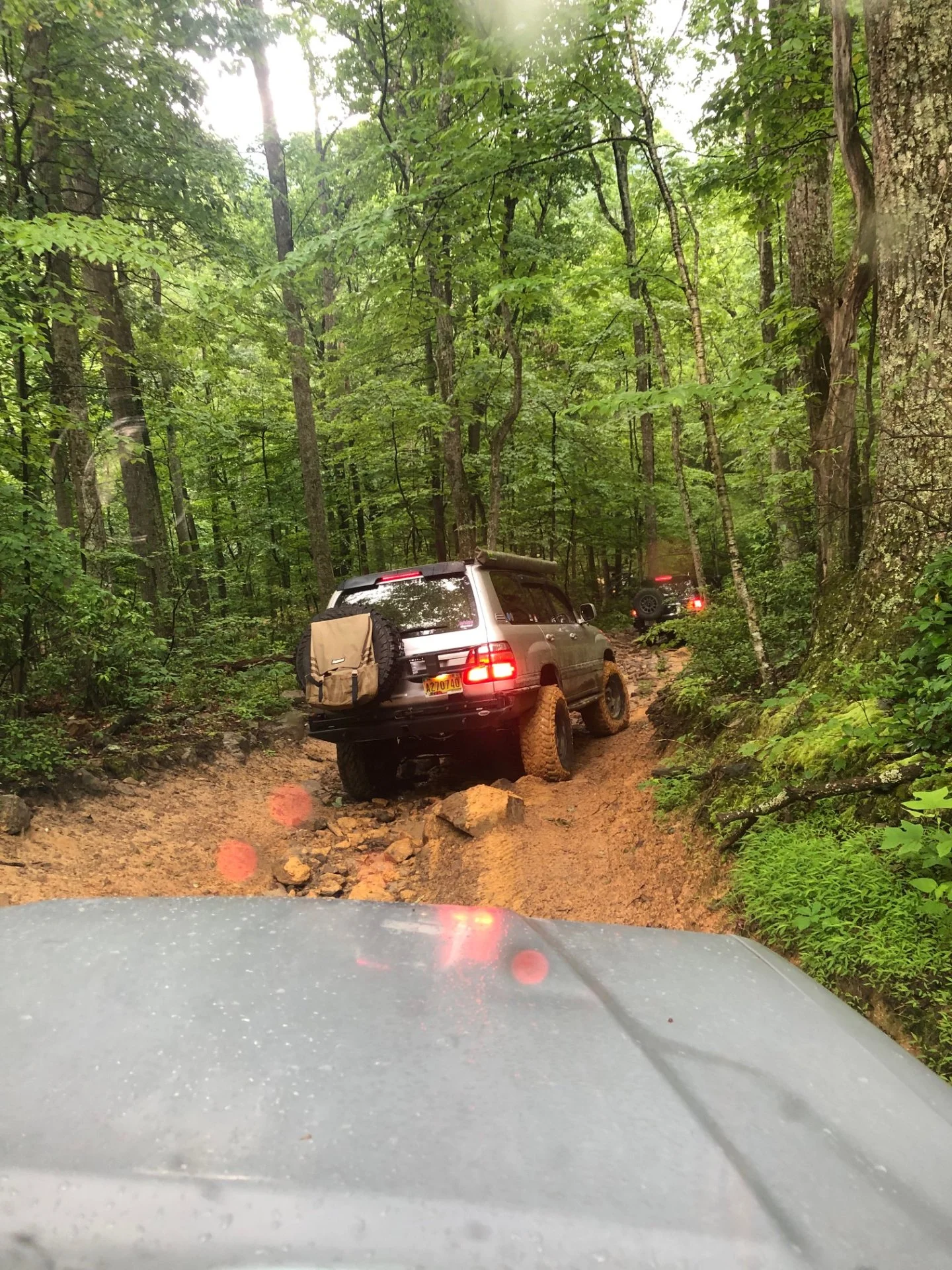 IMG_6324.jpg