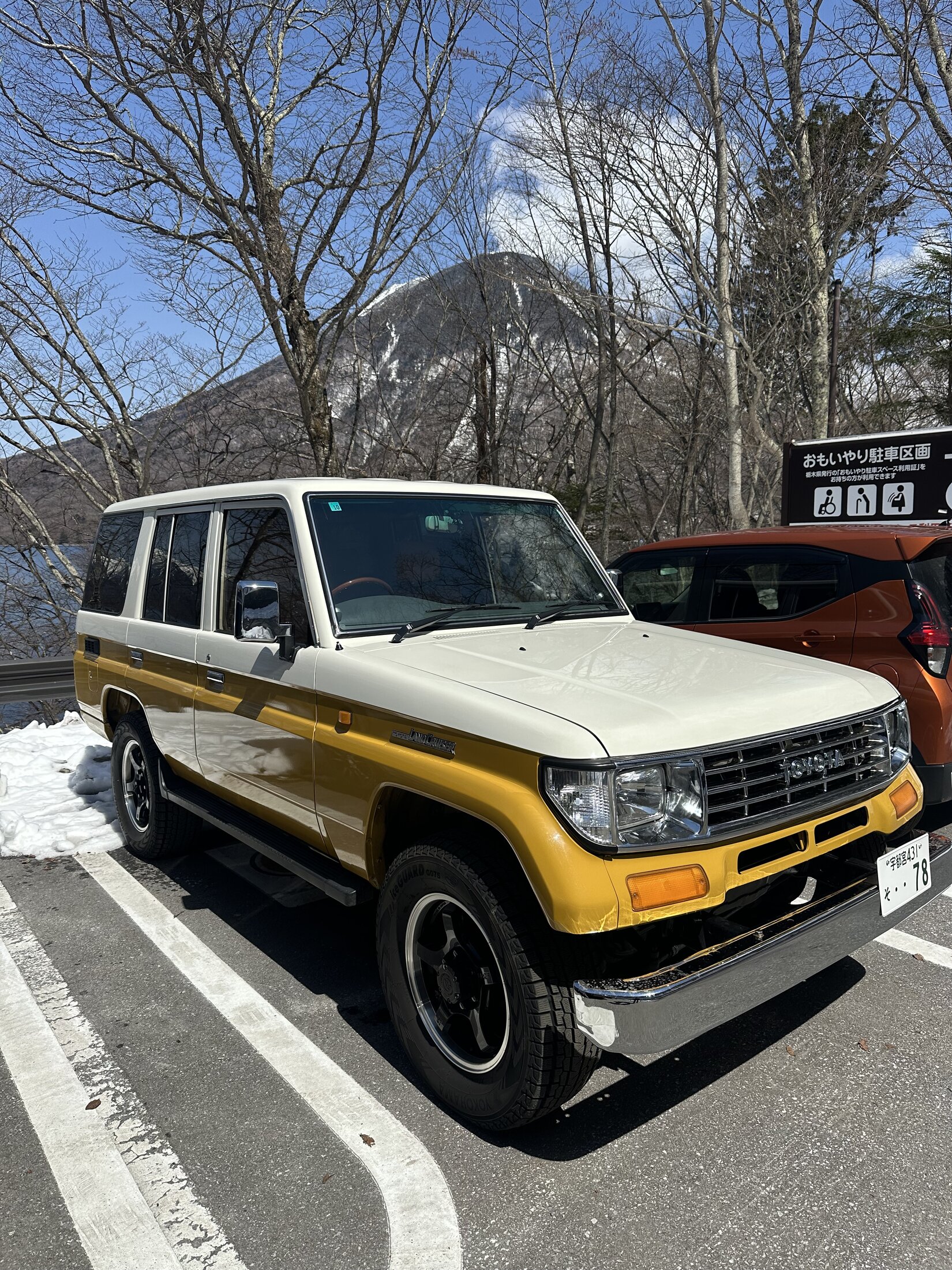 IMG_6599.jpeg