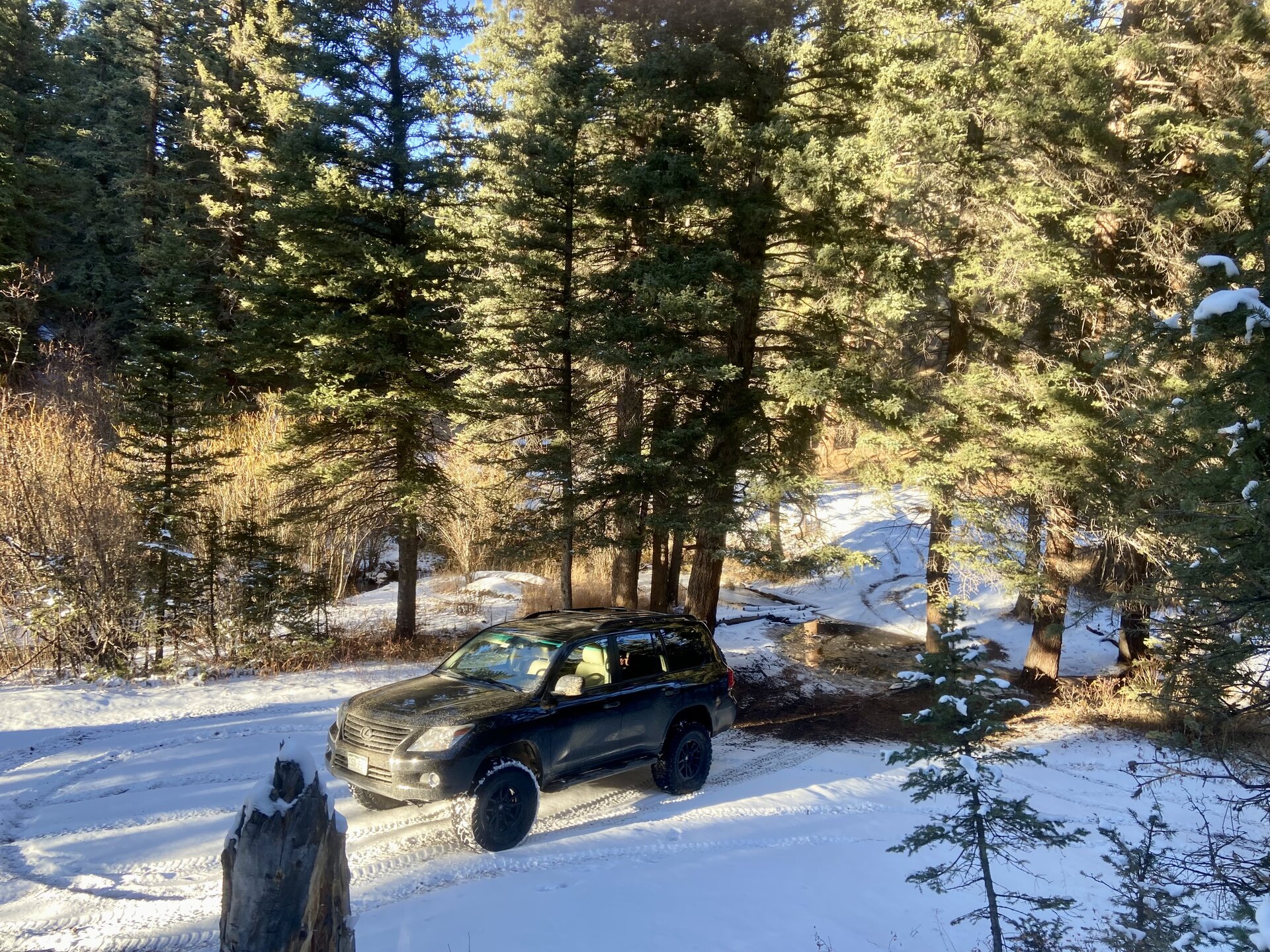 IMG_6674.jpeg