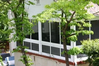 IMG_6696.webp