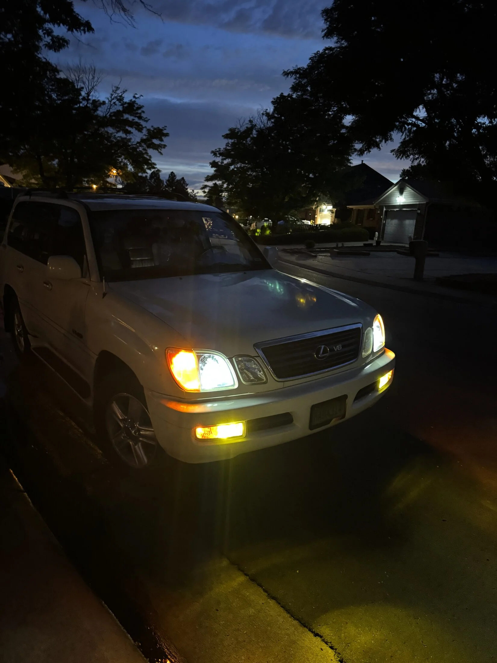IMG_6729.jpeg