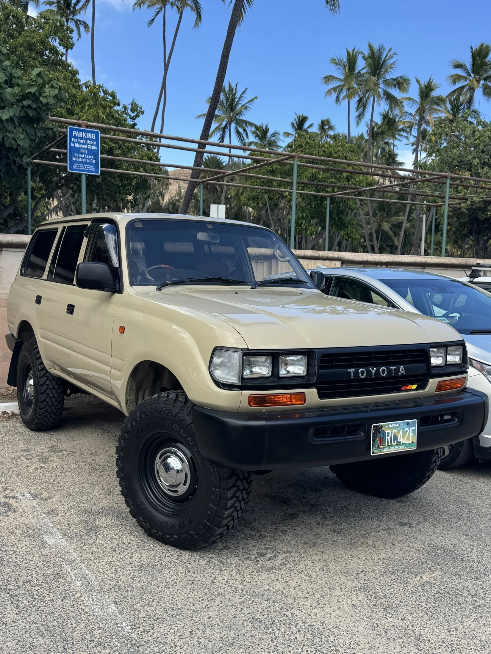 IMG_6730.jpeg