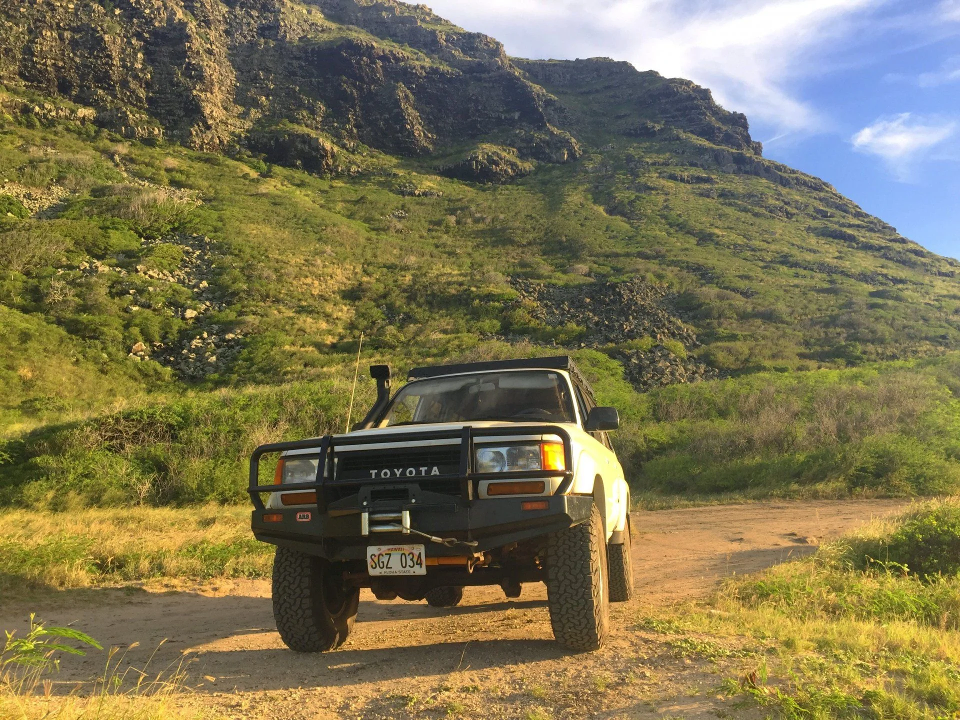 Blacked Out Grill PIcs | Page 3 | IH8MUD Forum
