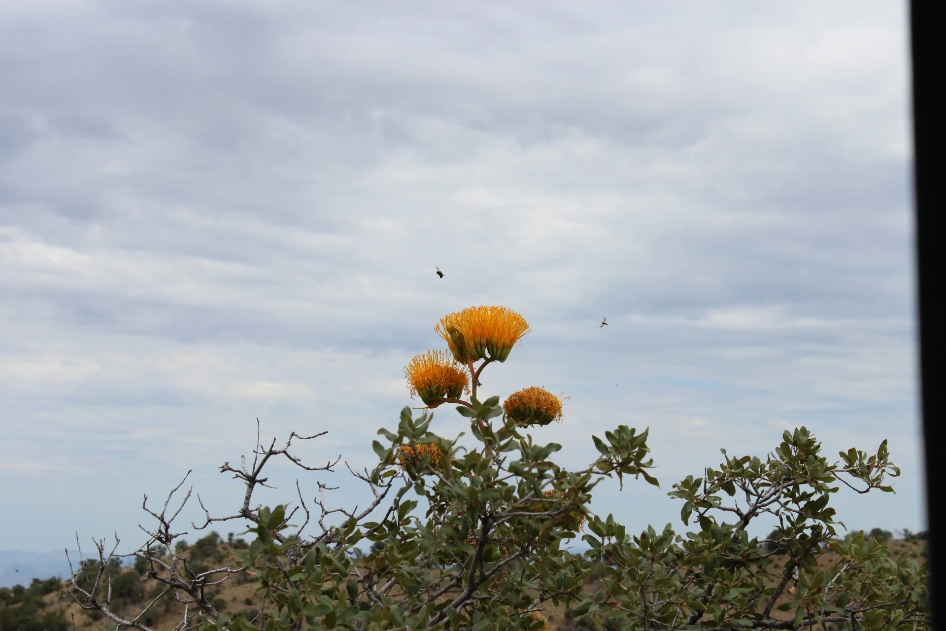 IMG_6863-Small.webp