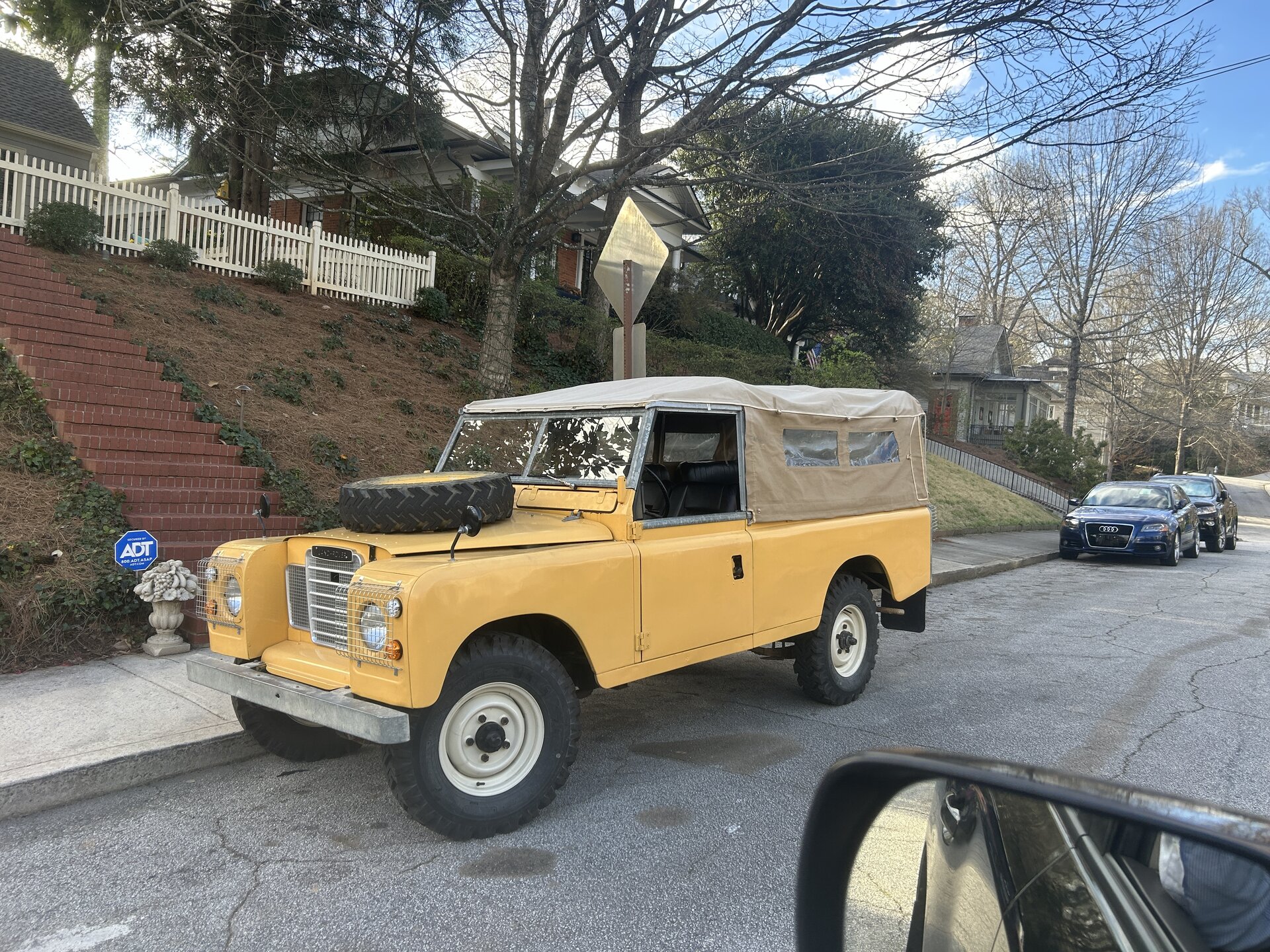 IMG_6884.jpeg
