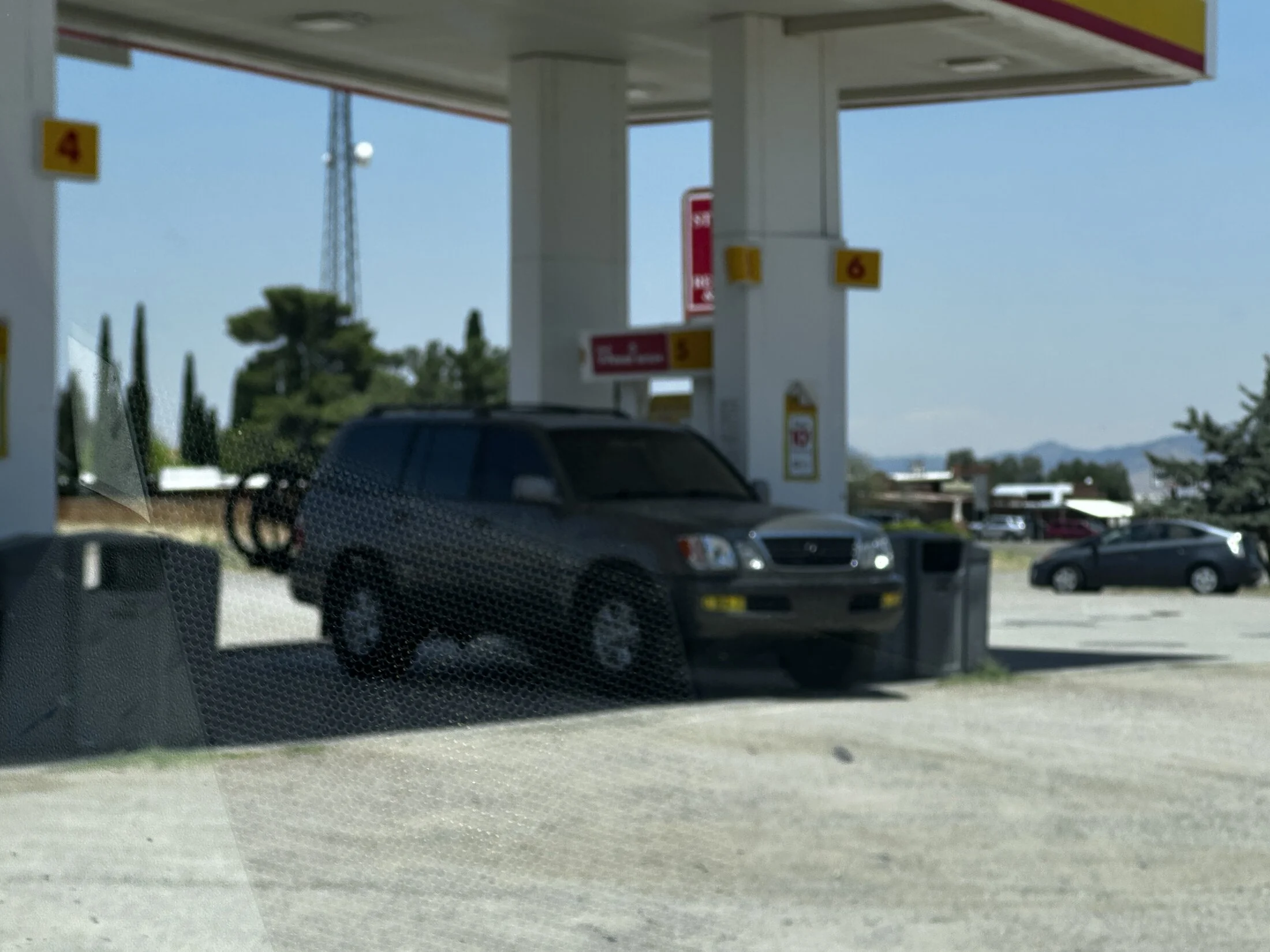 IMG_6896.jpeg