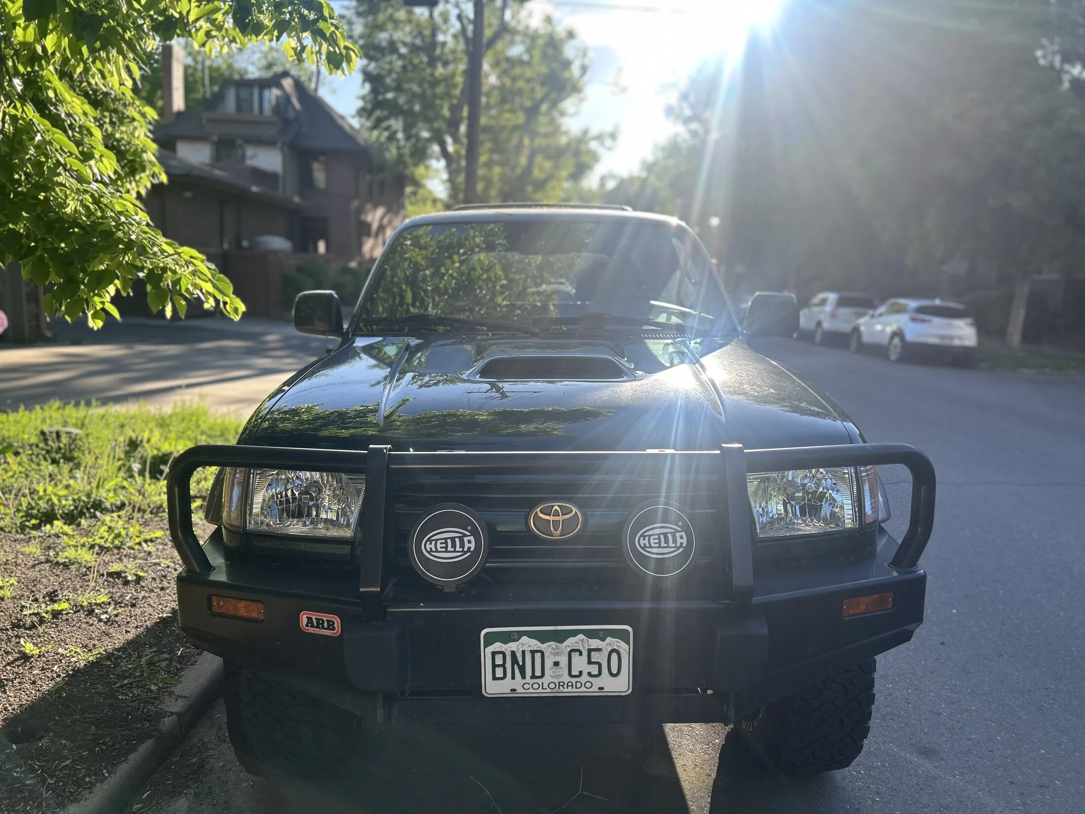 IMG_7077.jpeg