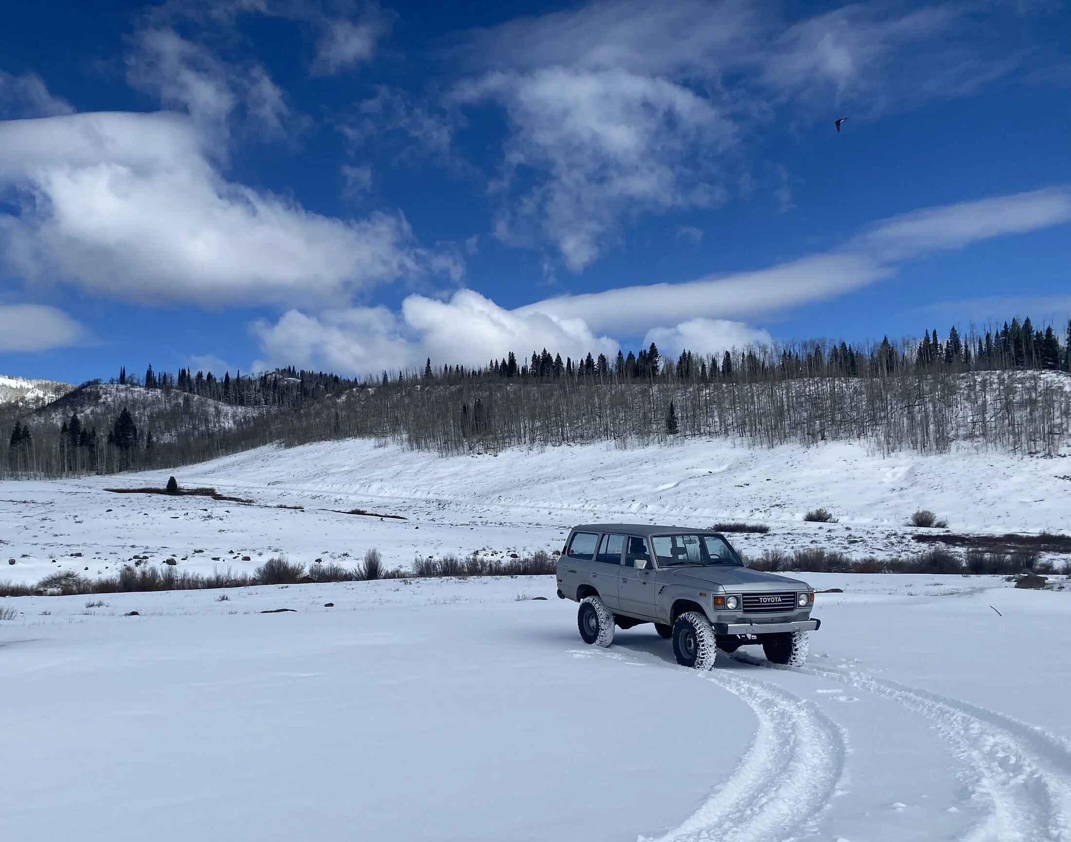 Craigslist Western Slope Colorado - c8id8xp