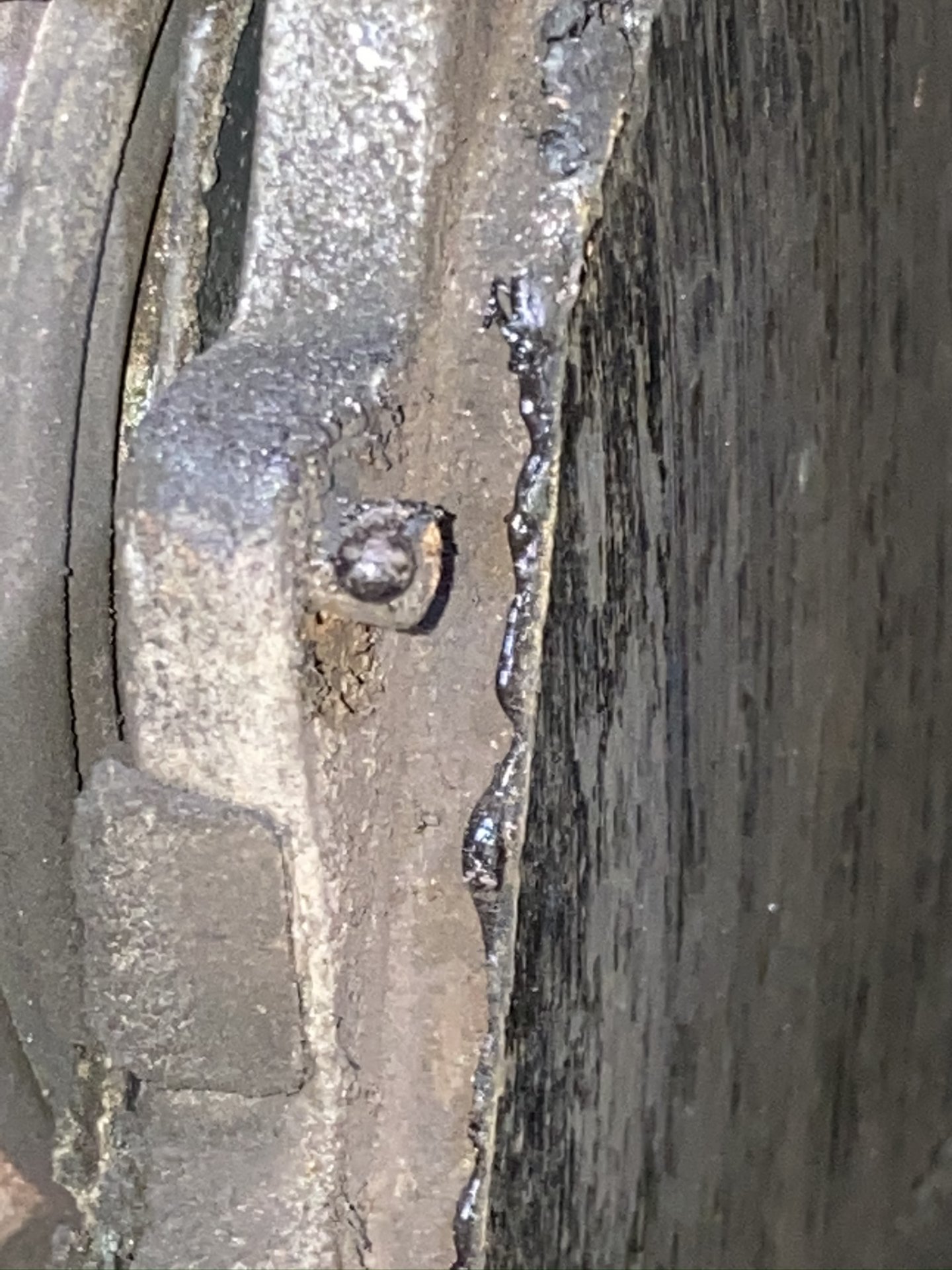 IMG_7239.JPEG
