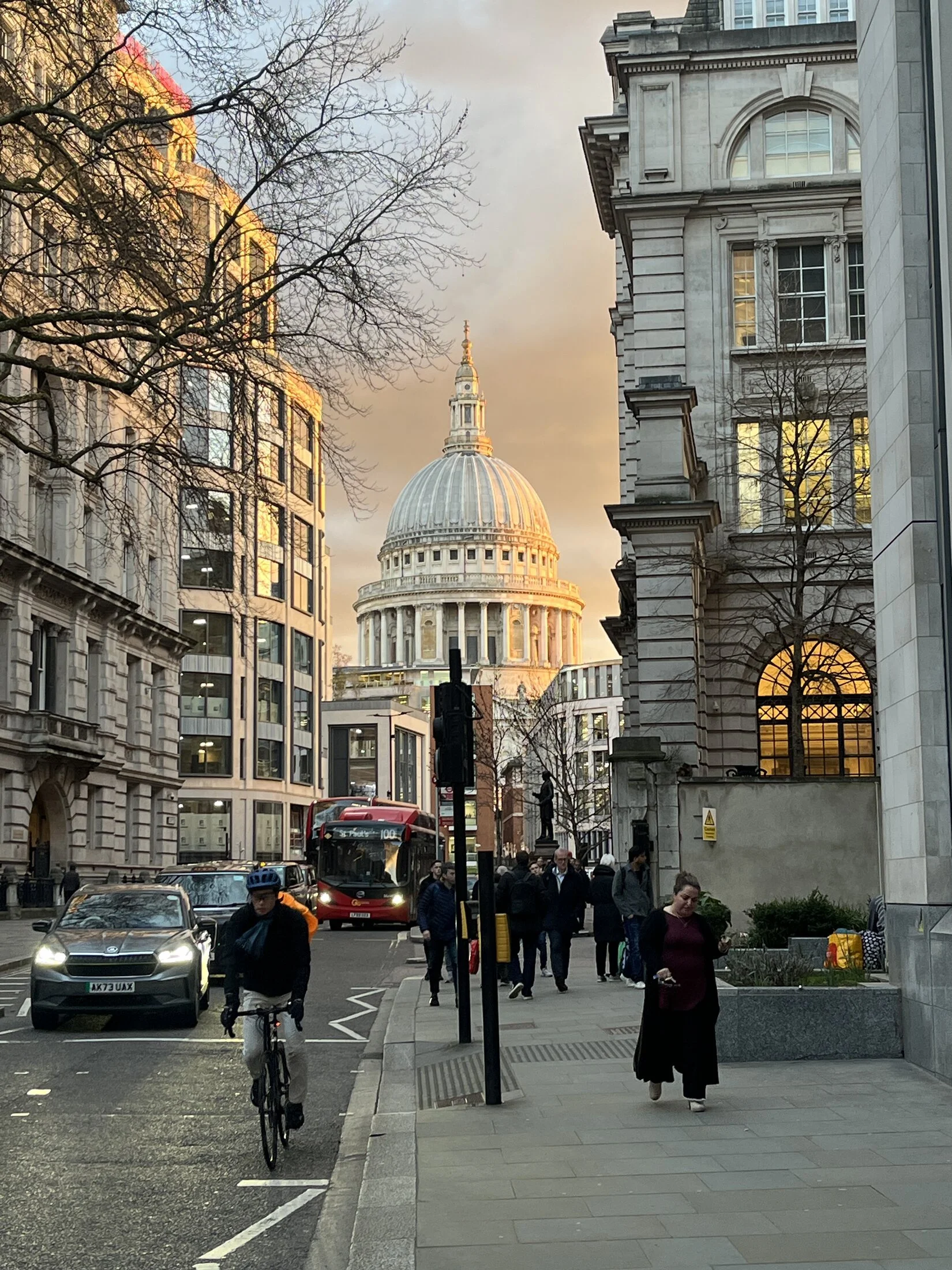IMG_7369.jpeg