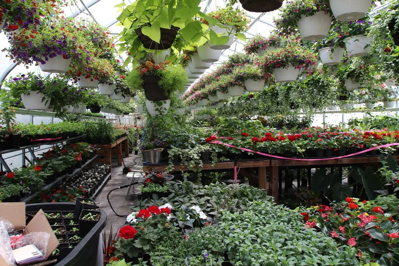 IMG_7428.webp