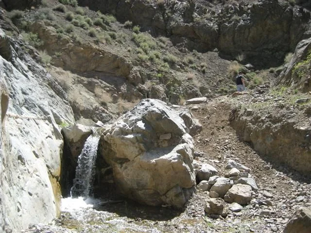 IMG_7433 (Small).webp