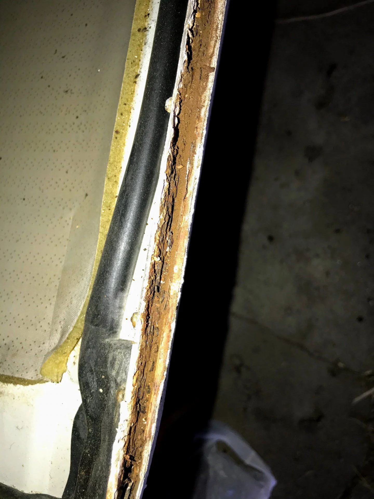 IMG_7810.webp