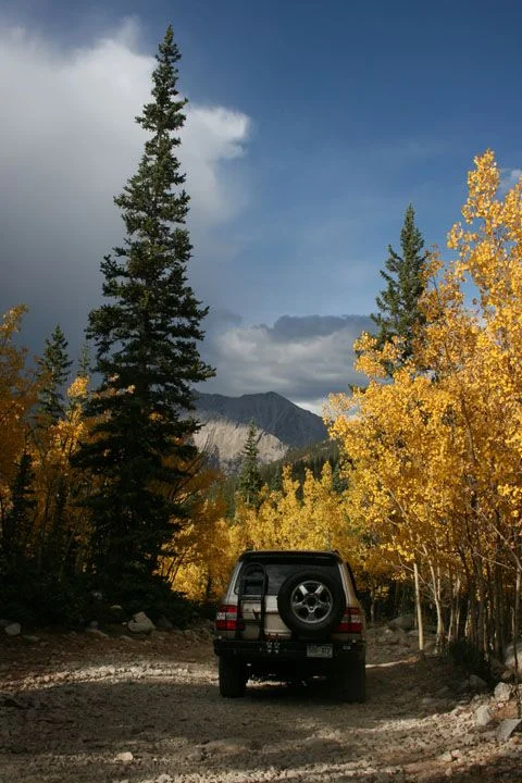 IMG_7917LR.webp