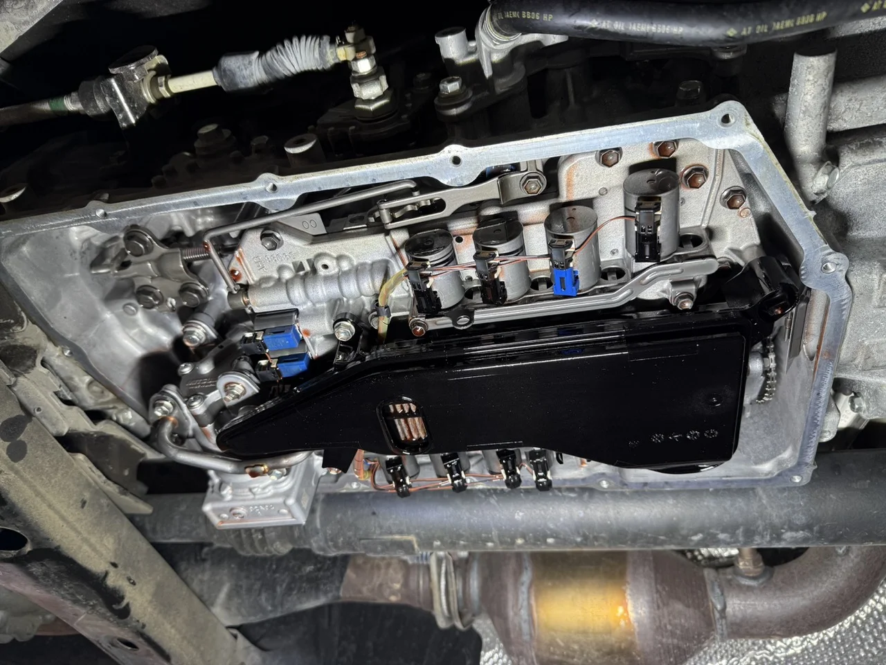 IMG_8077 Large.webp