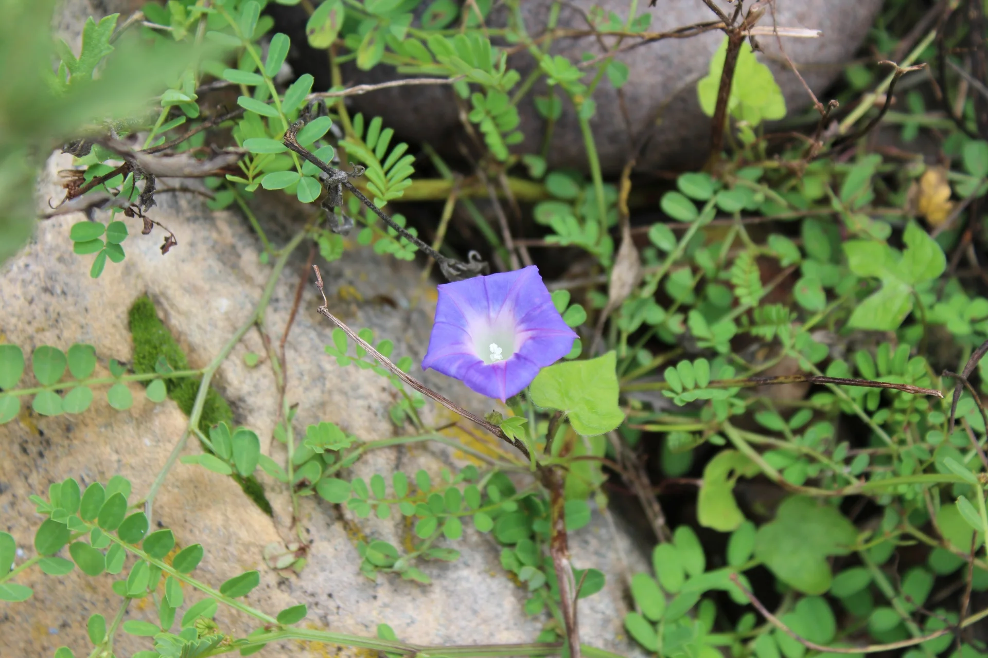 IMG_8454-Small.webp