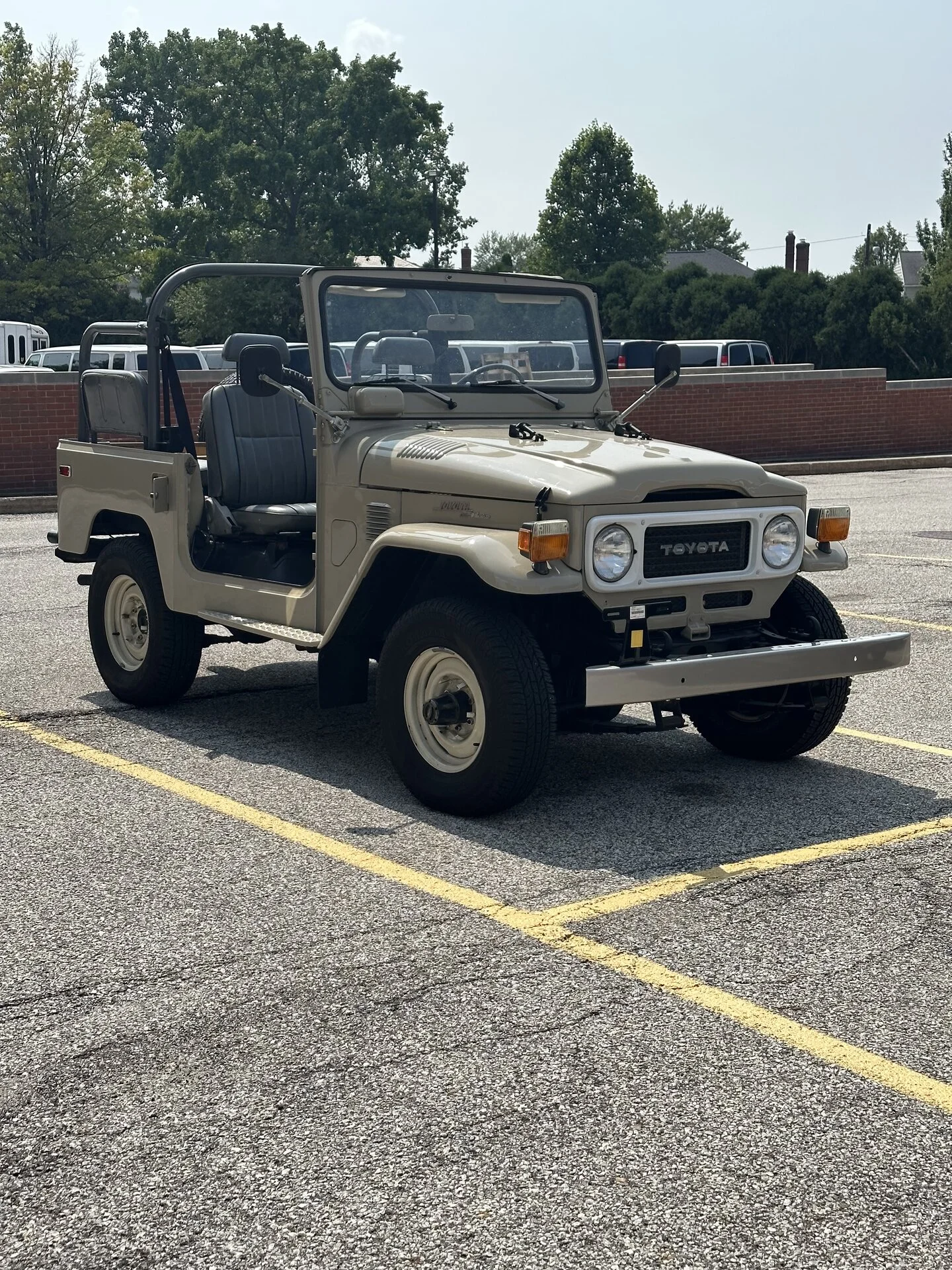 IMG_8537.jpeg