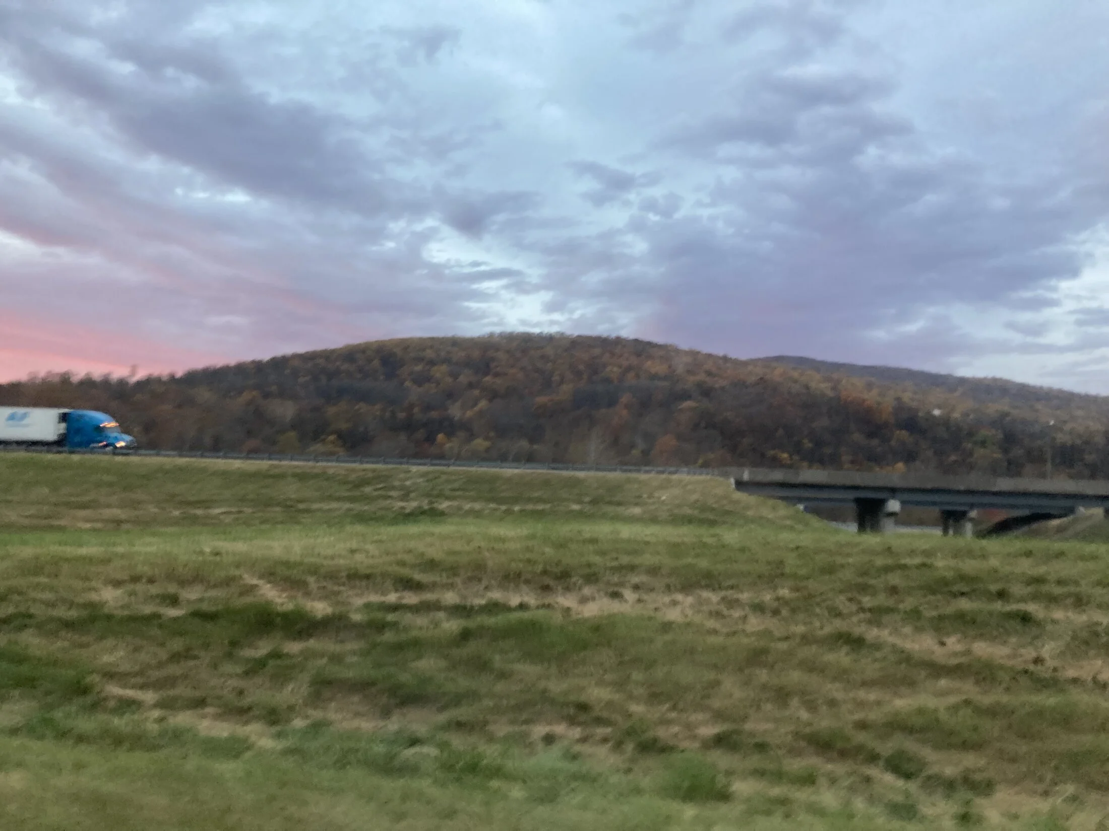 IMG_8660.jpeg