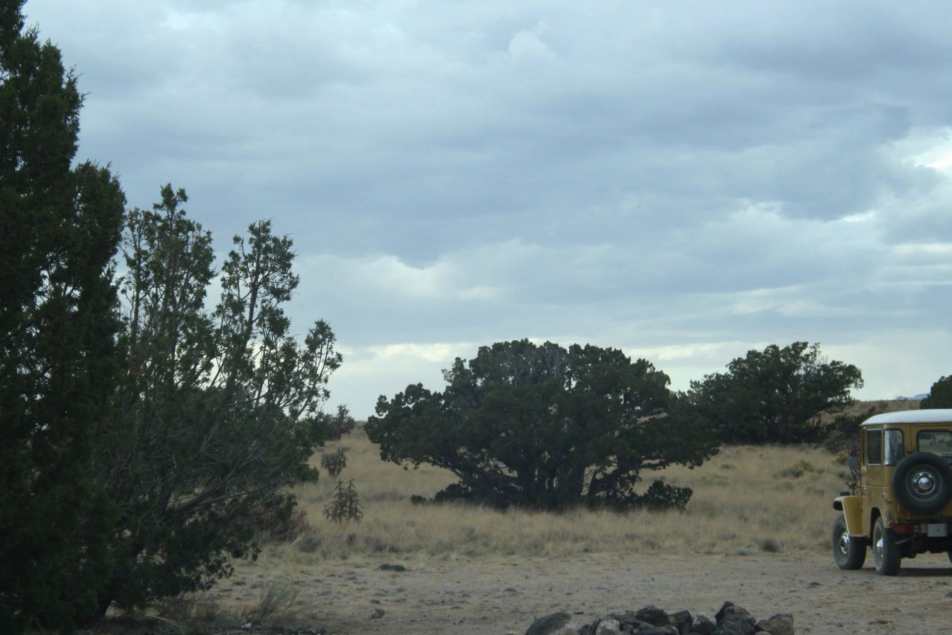 IMG_8690.JPG