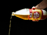 IMG_8818.gif