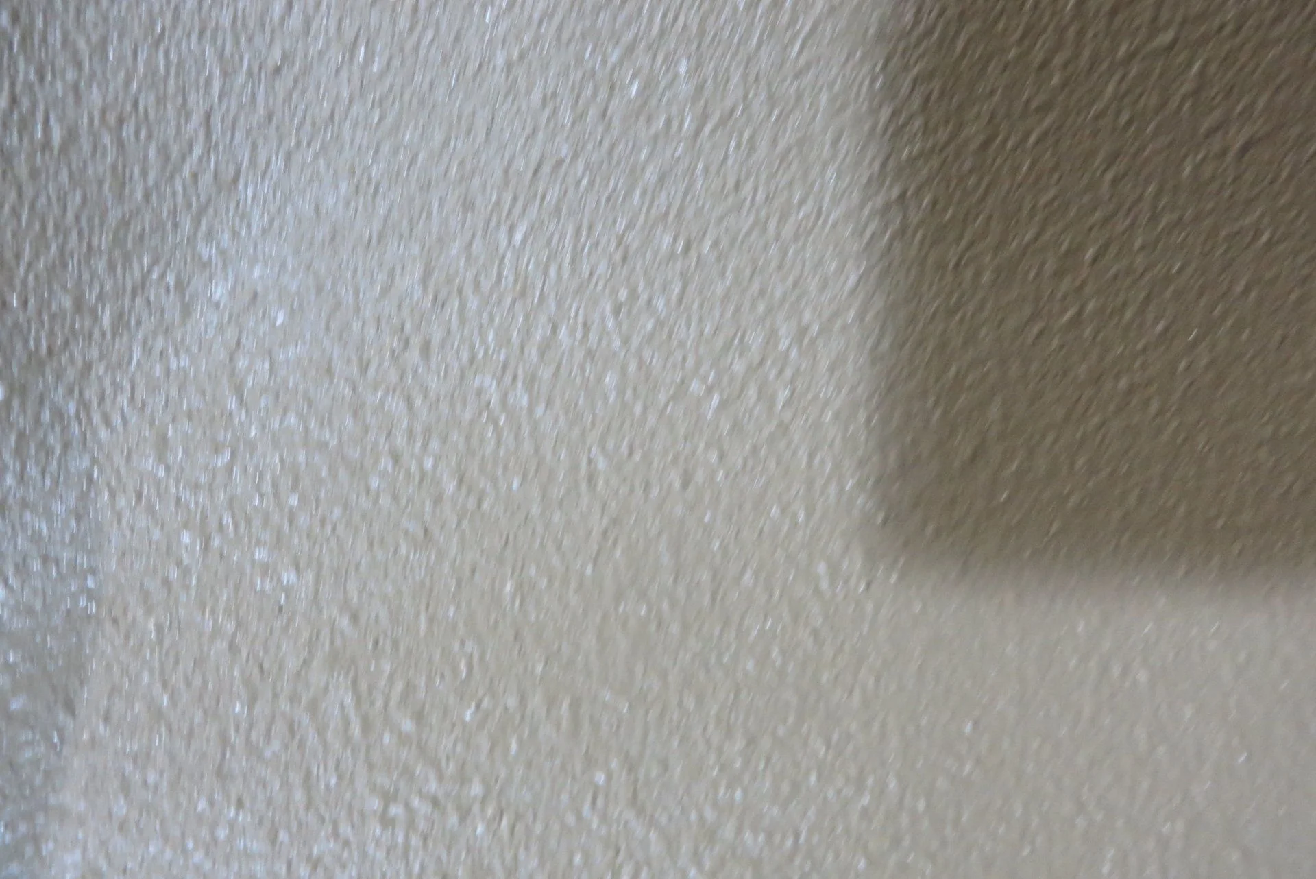 IMG_9423.webp