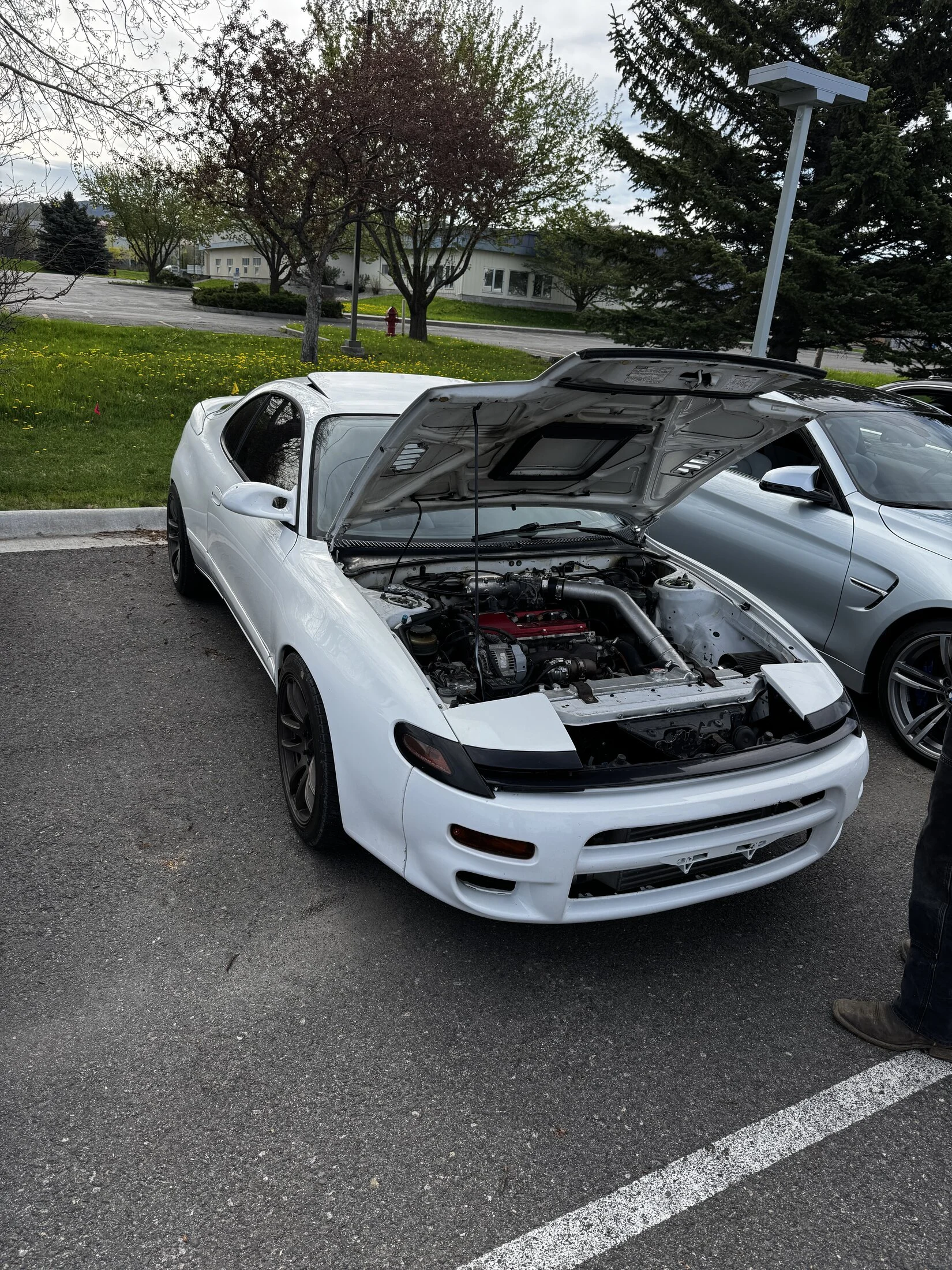 IMG_9451.webp