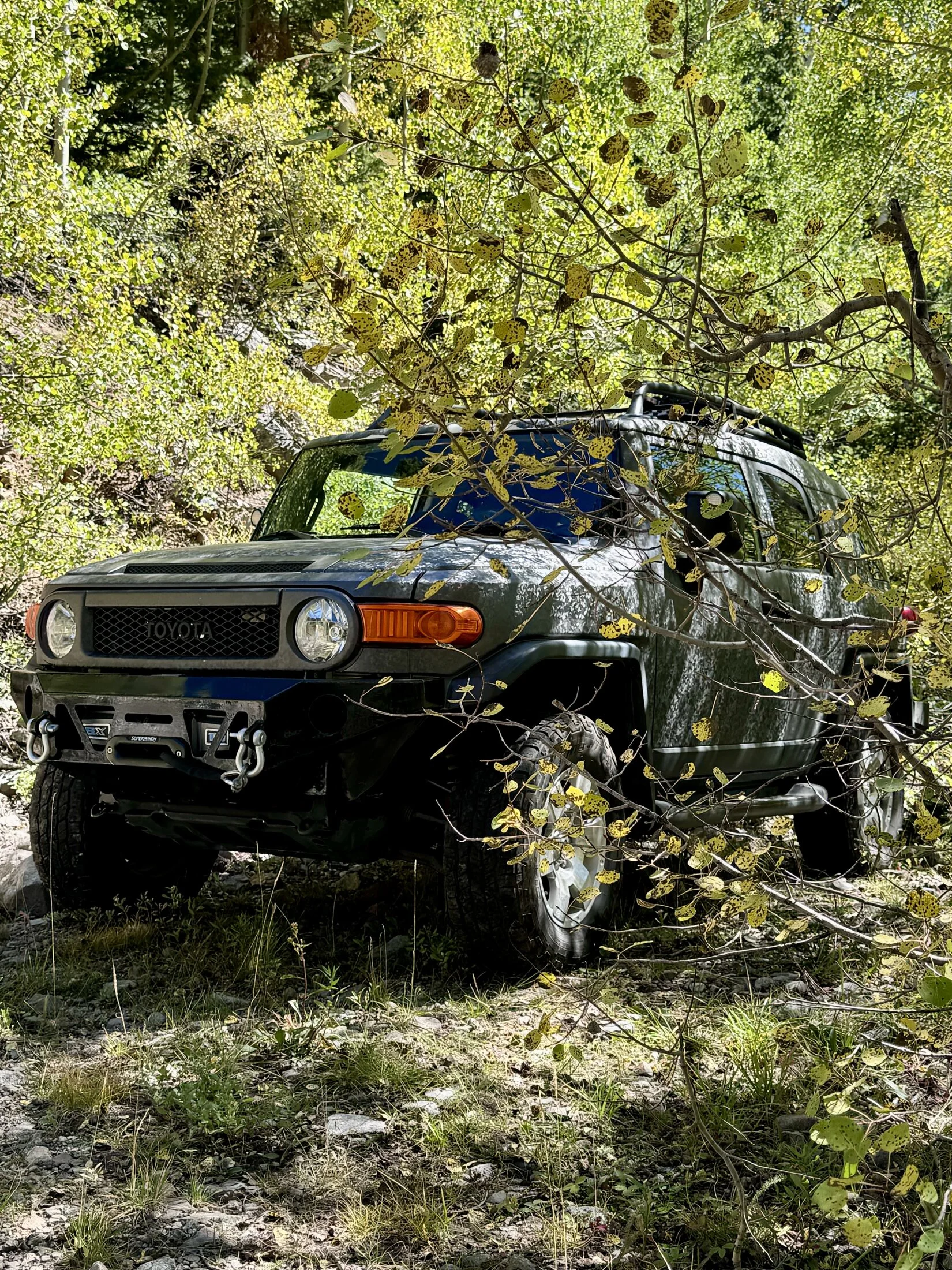 IMG_9911.webp