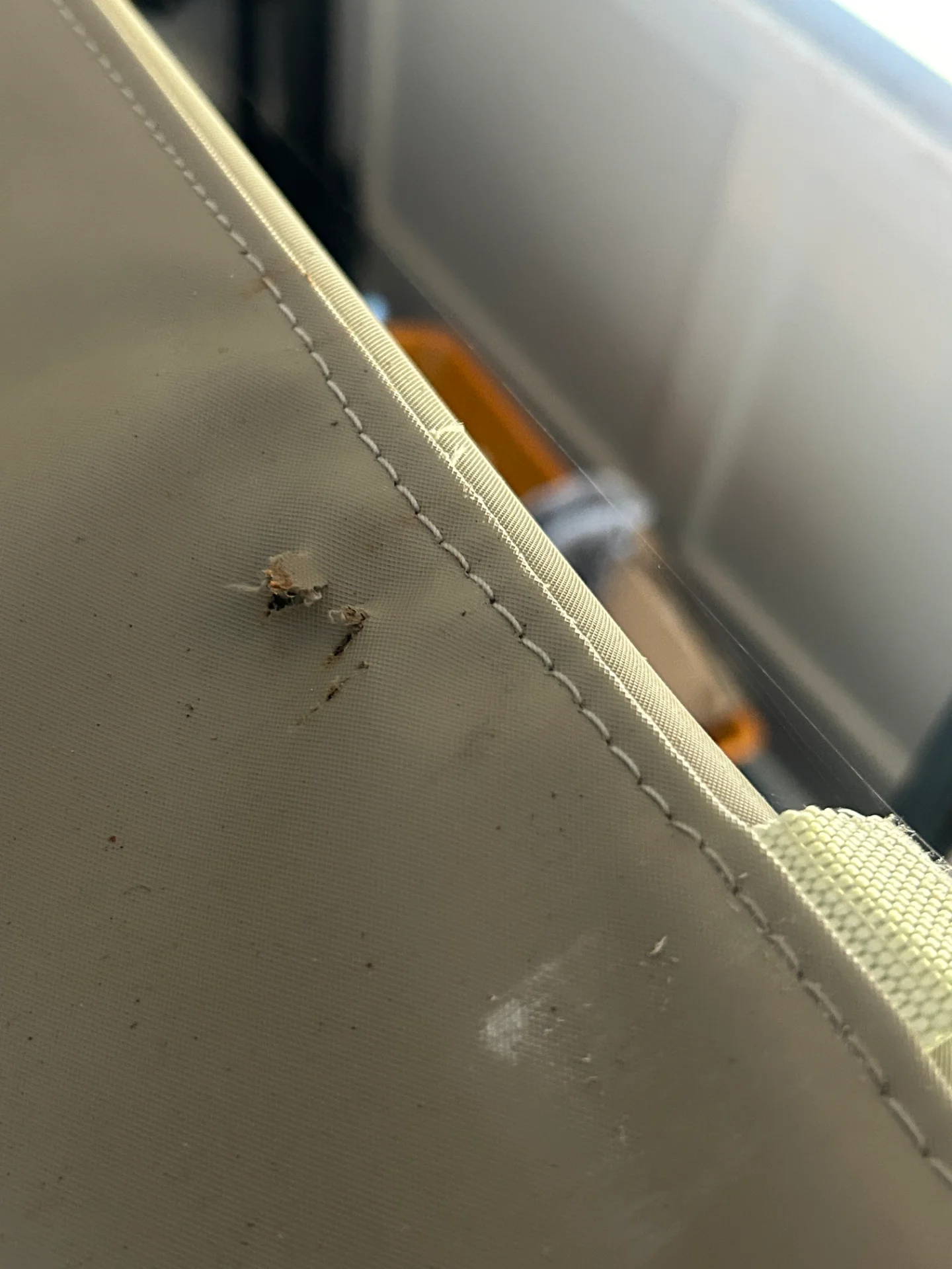 IMG_9959.webp