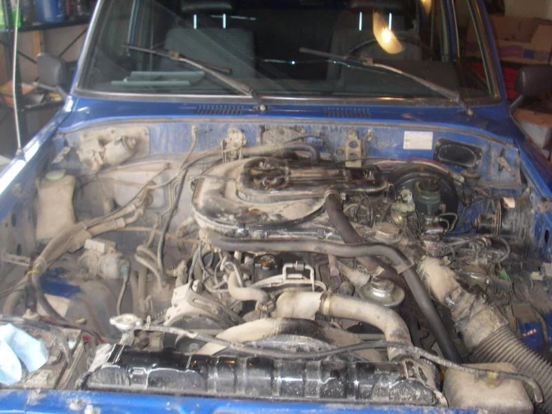 IMGP0003.webp
