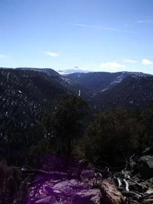 IMGP0023.webp