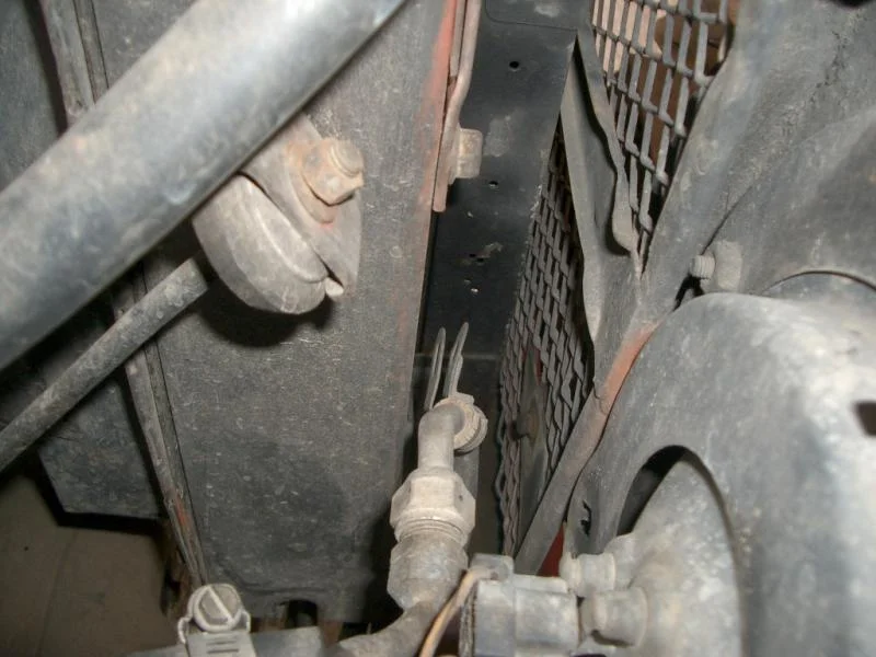 IMGP1313.webp