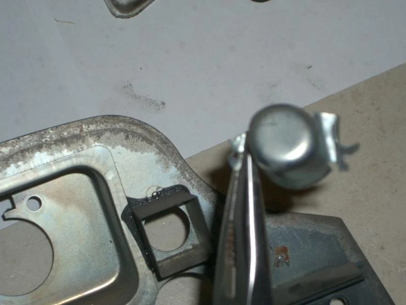 IMGP1345.webp