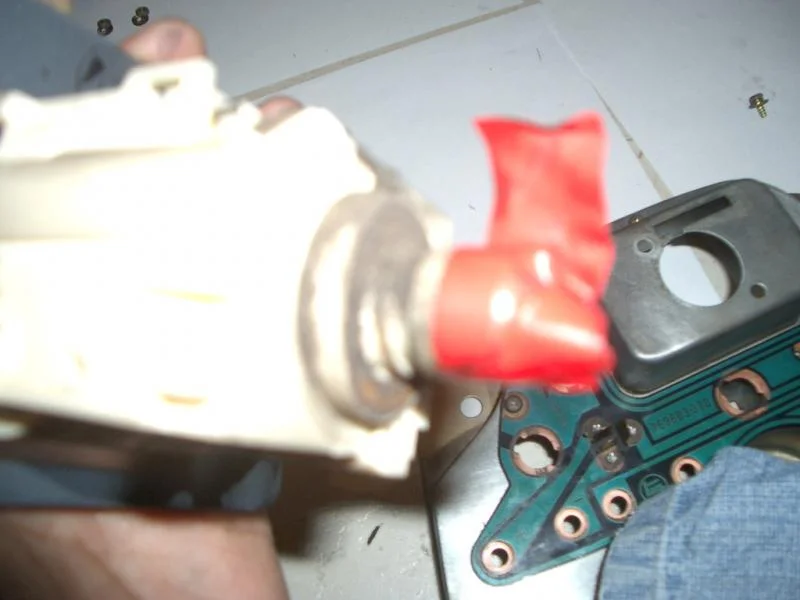 IMGP1350.webp