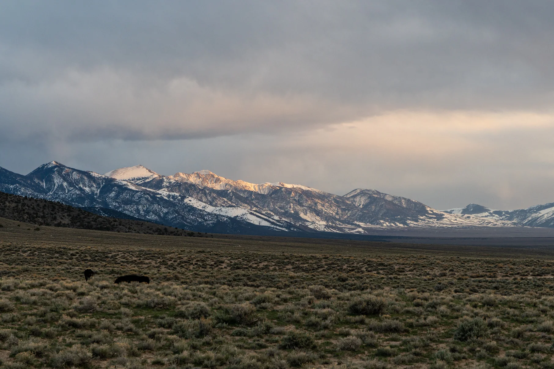 IMGP1650.webp
