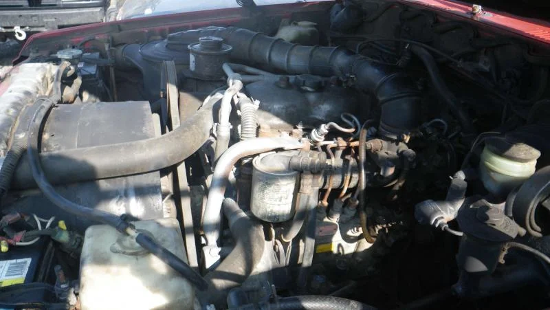 IMGP2112.webp
