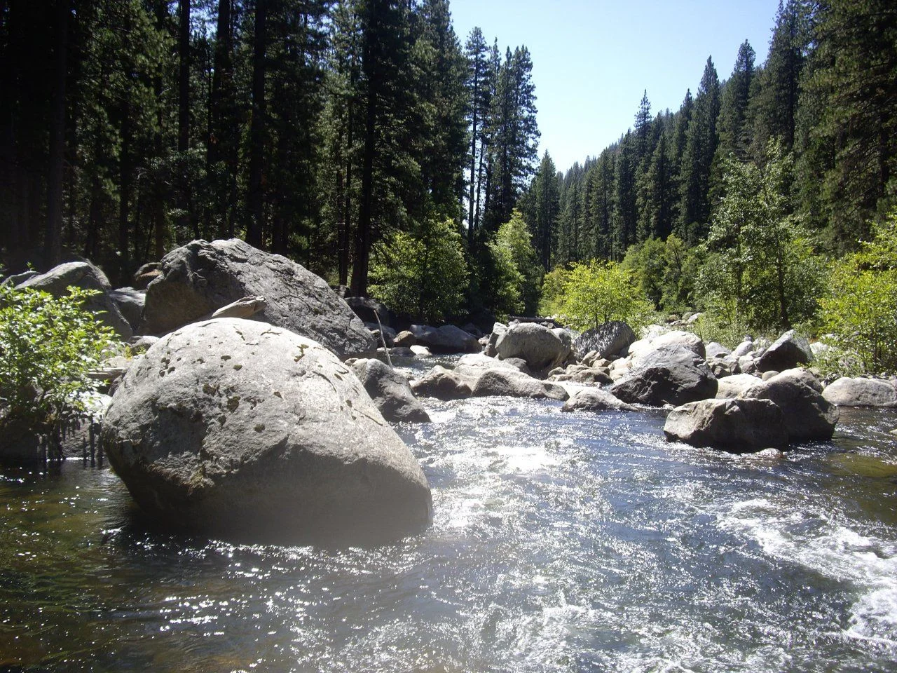 IMGP2331.webp