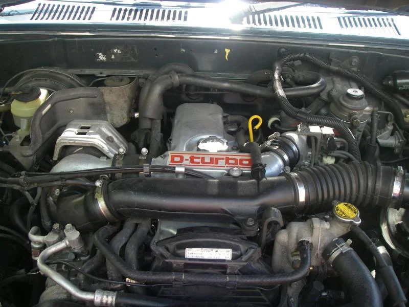 IMGP2598.webp