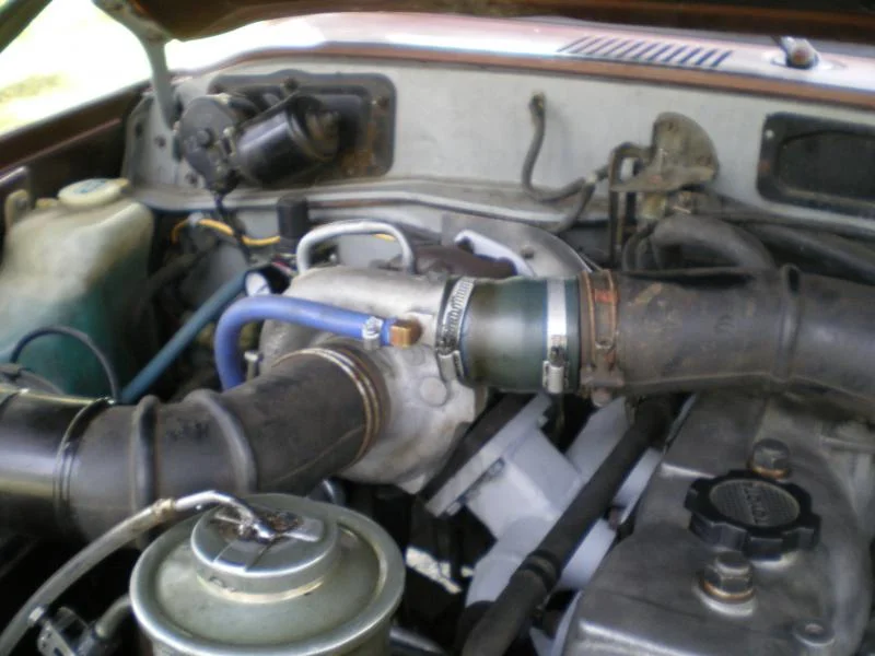 IMGP2810.webp