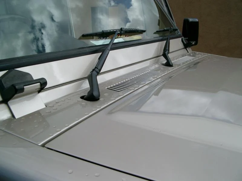 IMGP2833.webp