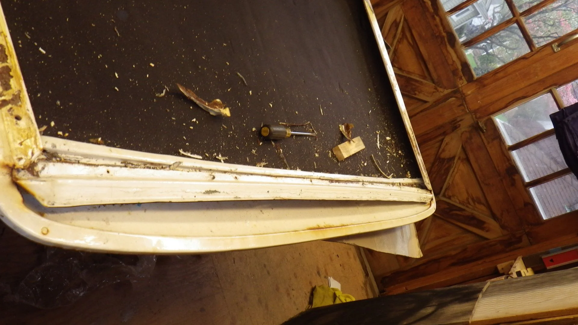 IMGP2979.webp