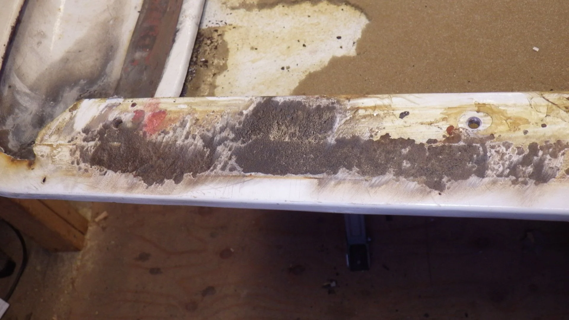IMGP3249.webp