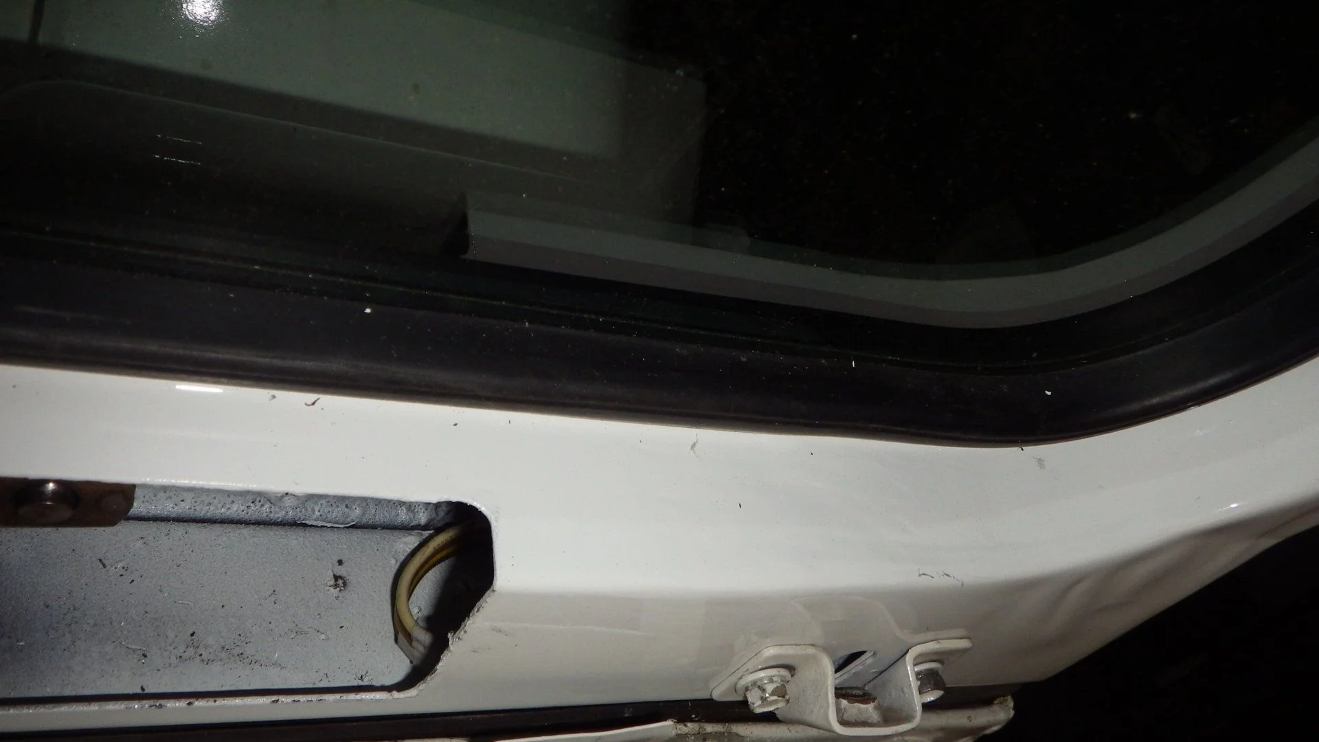 IMGP3505.JPG