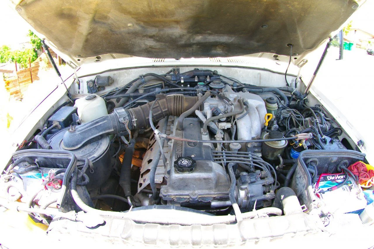 IMGP4780.webp