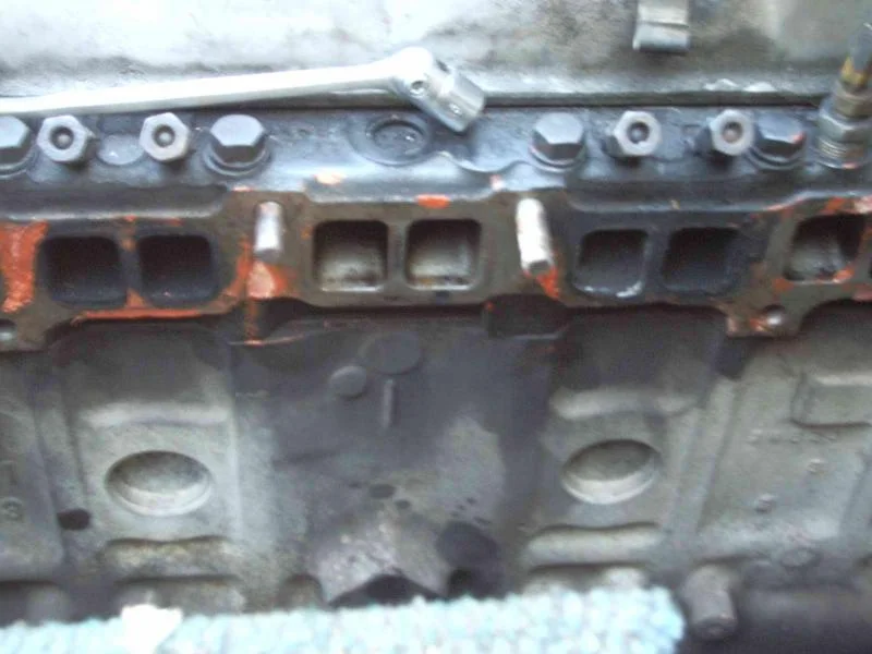 IMGP5545.webp