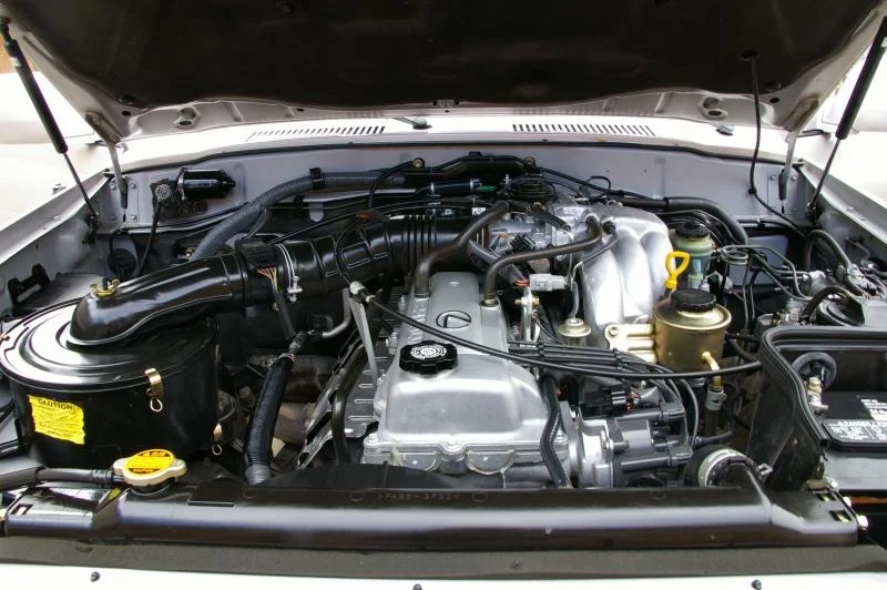 IMGP6642.webp