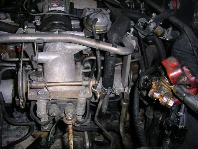 IMGP7663.webp
