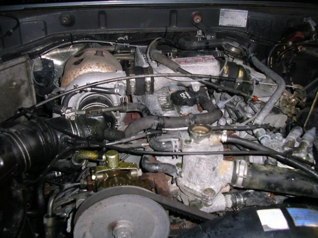 IMGP7665.webp